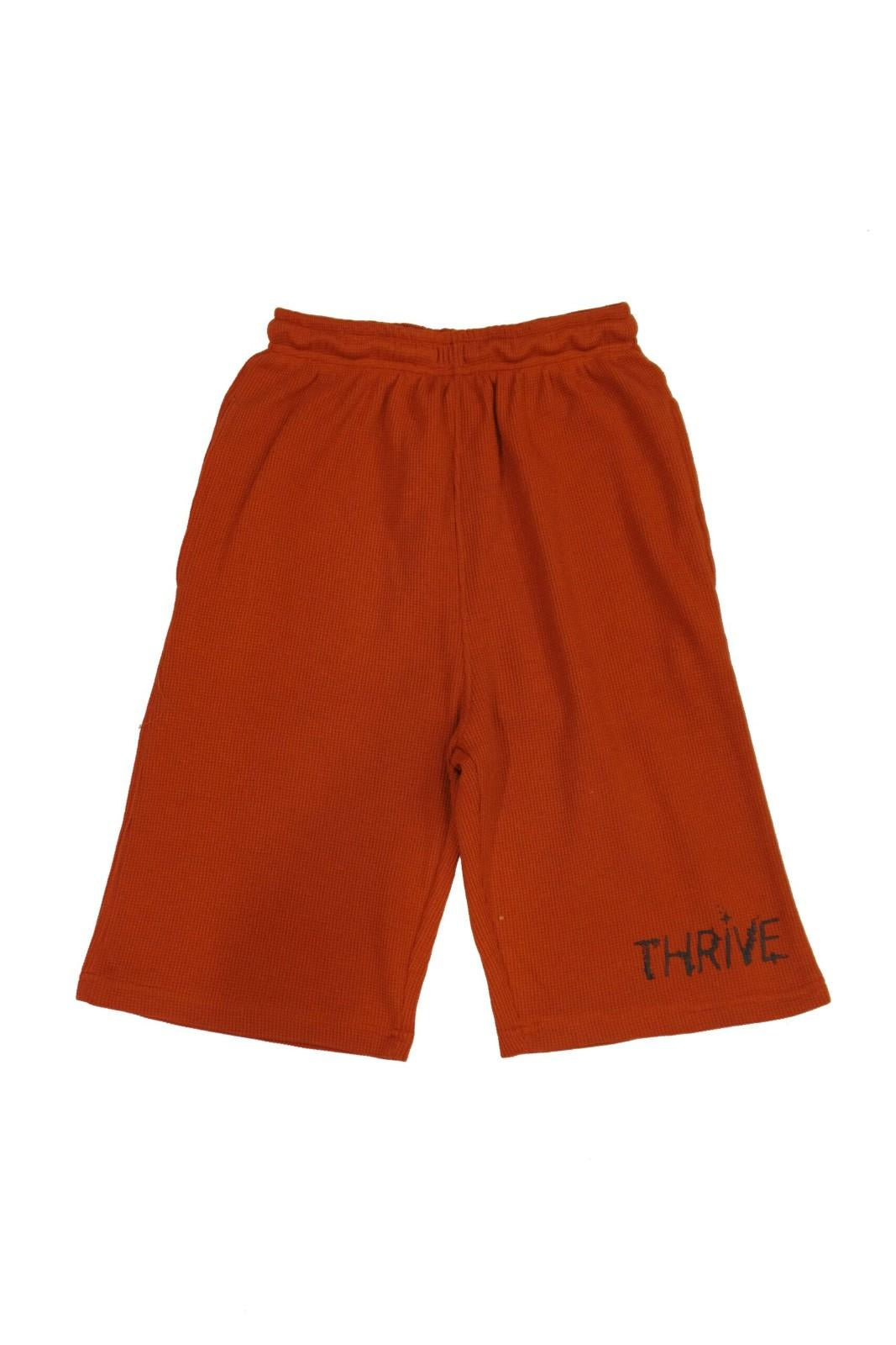 Thermal Logo Shorts