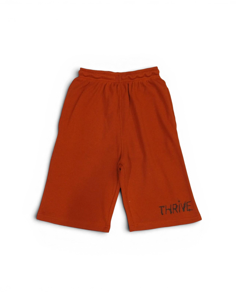 Thermal Logo Shorts