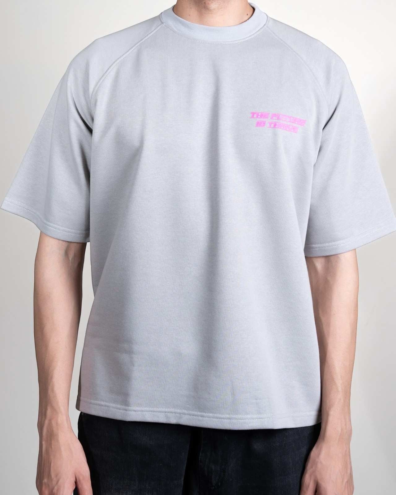 Raglan T-Shirt (grey)