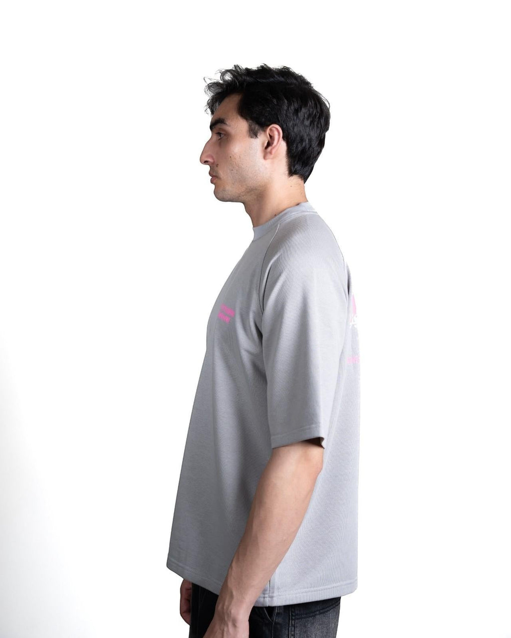 Raglan T-Shirt (grey)