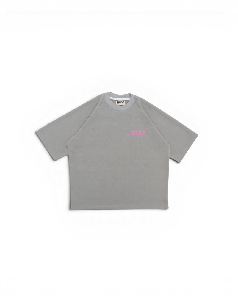 Raglan T-Shirt (grey)